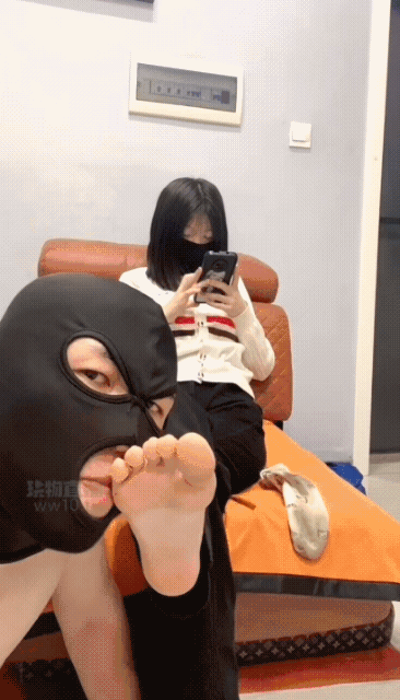 GIF_20260130_113139.gif